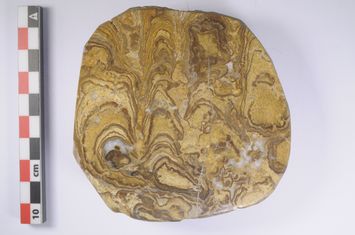 Vorschaubild Stromatolith